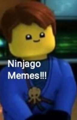 Ninjago Memes😻