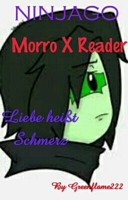 Ninjago ~Morro x Reader~ Liebe heißt Schmerz