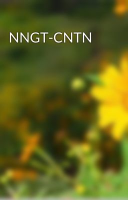 NNGT-CNTN