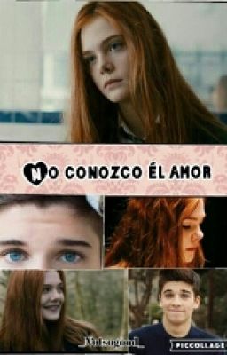 No conozco el amor