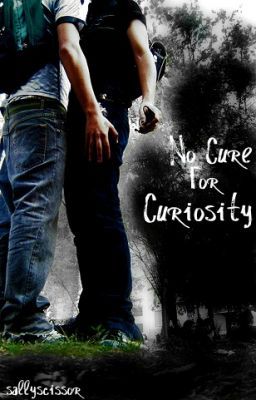 No Cure For Curiosity (boyxboy)