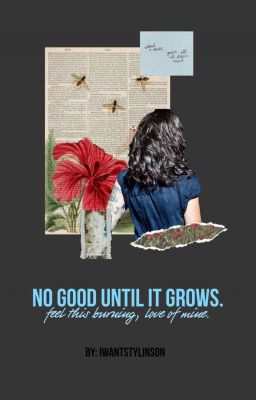 No good unless it grows... [Larry Stylinson] [OS/Español] [AU]