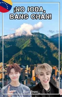 ¡No joda, Bang Chan! ❝ ChanIn ❞