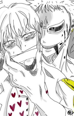 Nô lệ !  ( Doflamingo x Rosinante) 