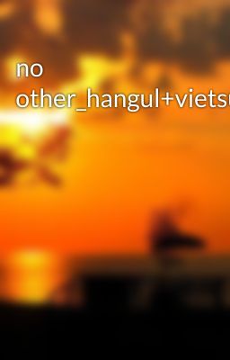 no other_hangul+vietsub