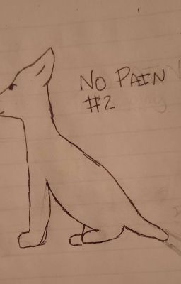 No Pain-The Beginning of SleepClan Book #2