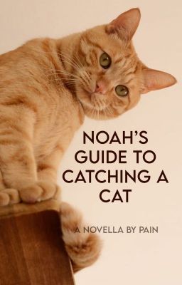 Noah's Guide to Catching a Cat ✓