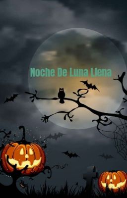 Noche de Luna Llena 