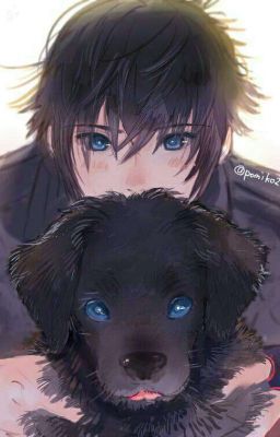 Noctis Lucis Caelum x Reader [One-Shots]