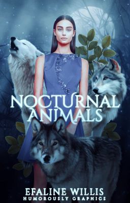 Nocturnal Animals