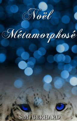 Noël métamorphosé