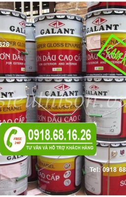 NƠI BÁN SƠN DẦU GALANT MÀU 505 , 512 GIÁ RẺ NHẤT TẠI QUẬN GÒ VẤP