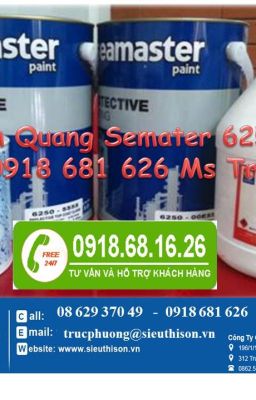 NƠI BÁN SƠN PHẢN QUANG SEAMASTER 6250 GIÁ RẺ NHẤT TPHCM -