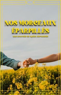 nos morceaux eparpillés