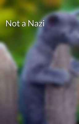 Not a Nazi