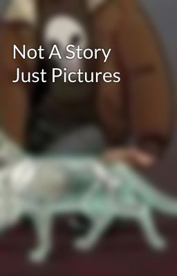 Not A Story Just Pictures