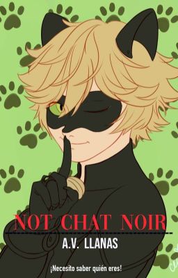 Not Chat Noir [Chat Noir y tú]