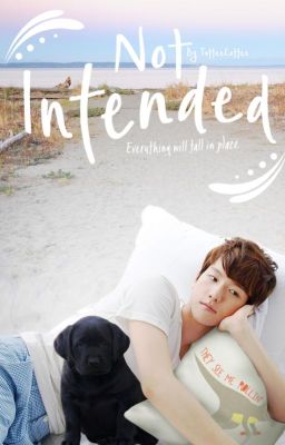 Not Intended | CHANBAEK (BOOK I)