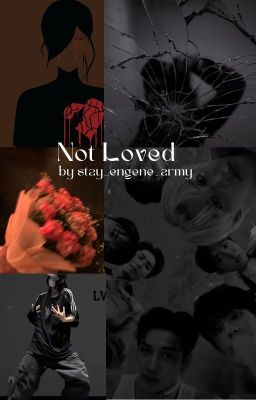 Not loved (Stray Kids ff/K-Pop ff)