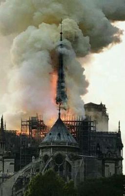 Notre dame de Paris