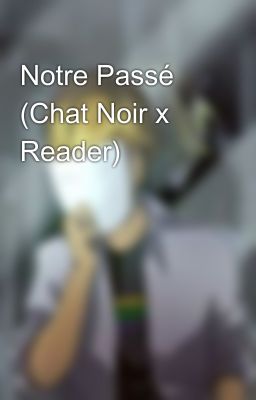 Notre Passé (Chat Noir x Reader)