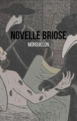 Novelle briose