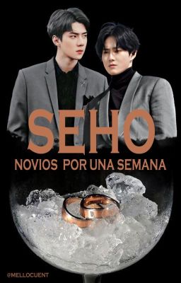 Novios por una semana_SEHO