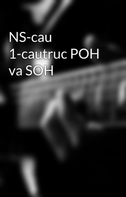 NS-cau 1-cautruc POH va SOH