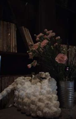 nửa đêm, cô ấy ngồi trên giường và thủ thỉ với tôi