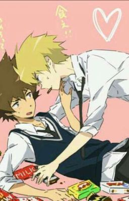 nuestra edad no importa (Matt Y Tai)(digimon Adventure Tri)yaoi