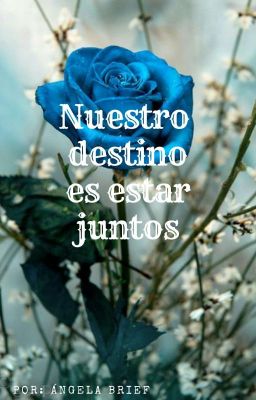 Nuestro destino es estar juntos