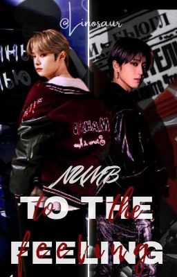 numb to the feeling • minsung | TRADUÇÃO