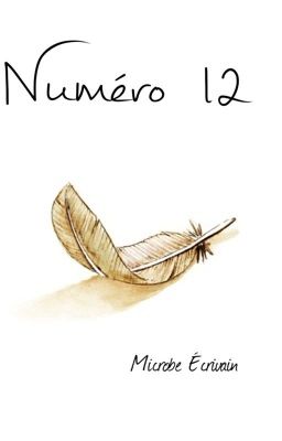 Numéro 12