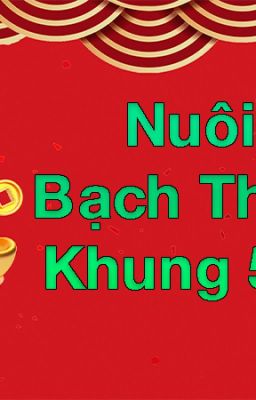 Nuôi Lô Bạch Thủ Kép Khung 5 Ngày