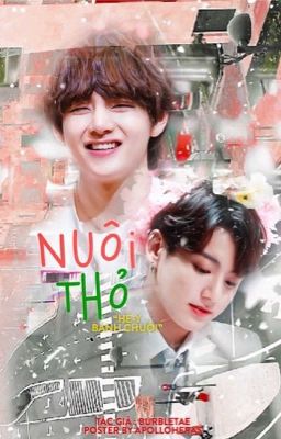 nuôi thỏ || taetae vs kookie