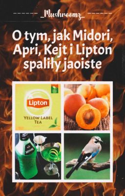 O tym jak Midori, Apricot, Kejt i Lipton spaliły jaoiste UwU