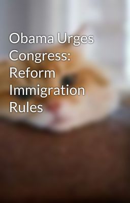 Obama Urges Congress: Reform Immigration Rules