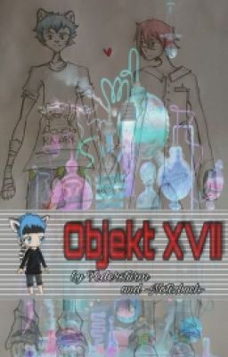 Objekt XVII