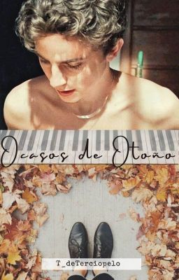 Ocasos de Otoño - Timothée Chalamet ✔️