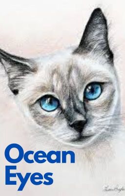 Ocean Eyes - Artbook