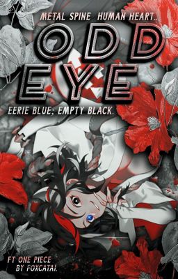 Odd Eye (One Piece Fanfic)