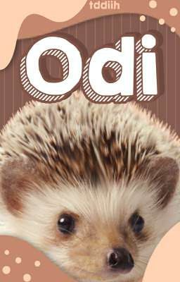 ⊹ Odi 🦔 ✦ 𝐒𝐎𝐎𝐆𝐘𝐔 ◗ ⊹ .