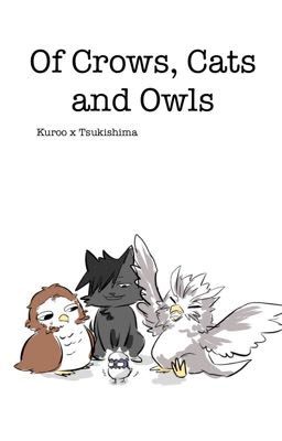 Of Crows, Cats and Owls 