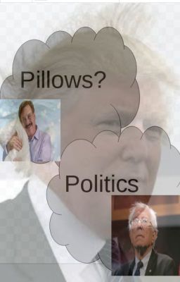 Of Pillows and Politics