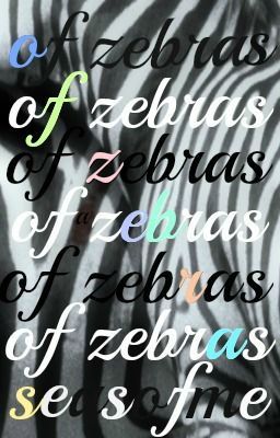 of zebras