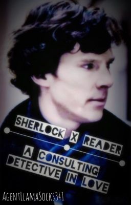 OLD - Sherlock x reader: A consulting detective in love