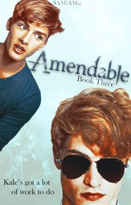 OLD VERSION: Amendable (Book 3 in the Original SOCIETY Series) ✔