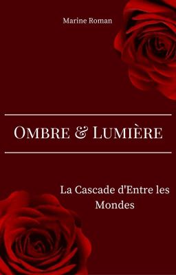 Ombre & Lumière Tome 2 - La Cascade d'Entre les Mondes