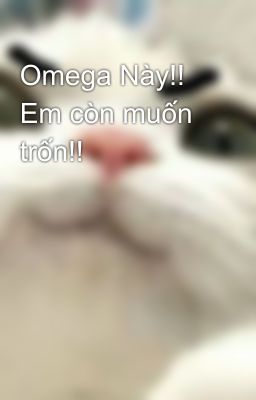 Omega Này!! Em còn muốn trốn!!