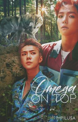 Omega on Top ✧ SeBaek